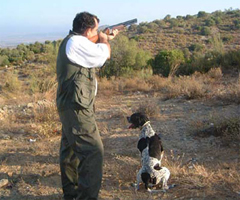 La Junta convoca la oferta pública para la adjudicación de los permisos de caza para la temporada 2013-2014